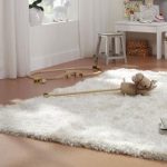 Vloerkleed laten reinigen